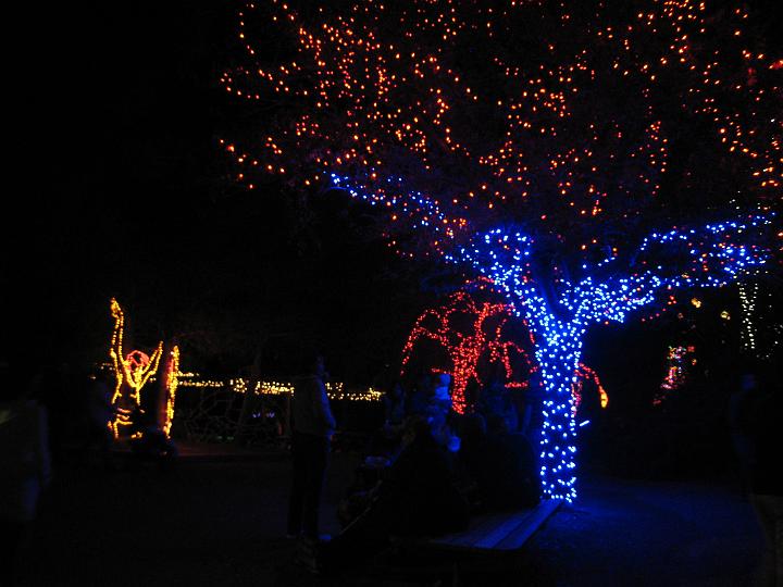 ZooLights 11.JPG